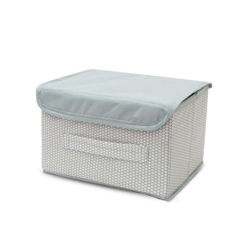 Foldable Fabric Storage Basket Bins with Lid & Handle – Wardrobe Organizer (Pack of 2)