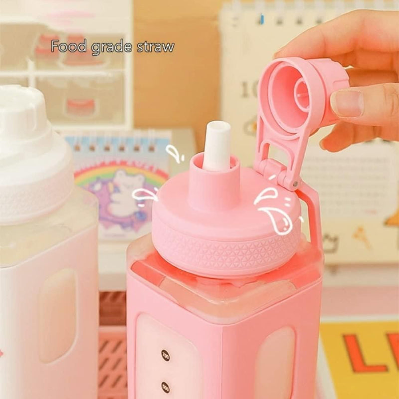 700ml Kawaii Cute Water Bottle with Lid & Straw – Leakproof Portable Bottle