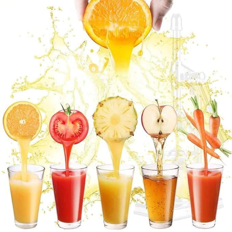 Stainless Steel Fruit Juicer Press – Commercial & Home Use Juice Extractor