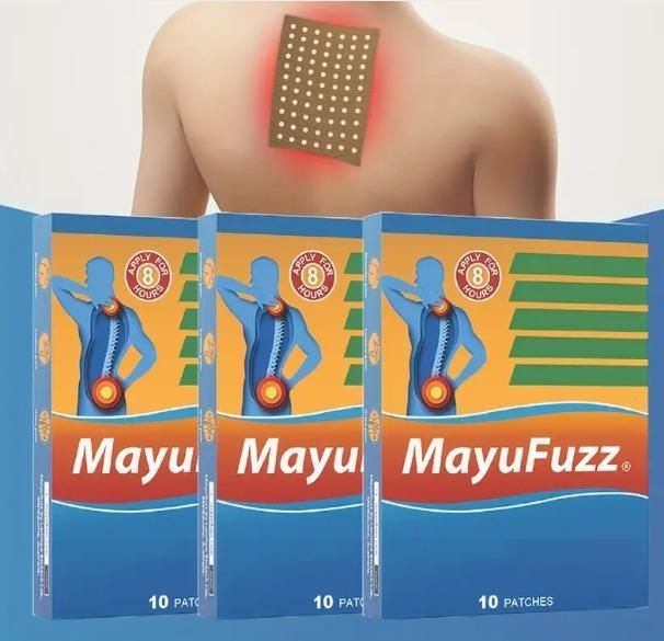 10 Pcs Herbal Self Heating Patches Mayufuzz